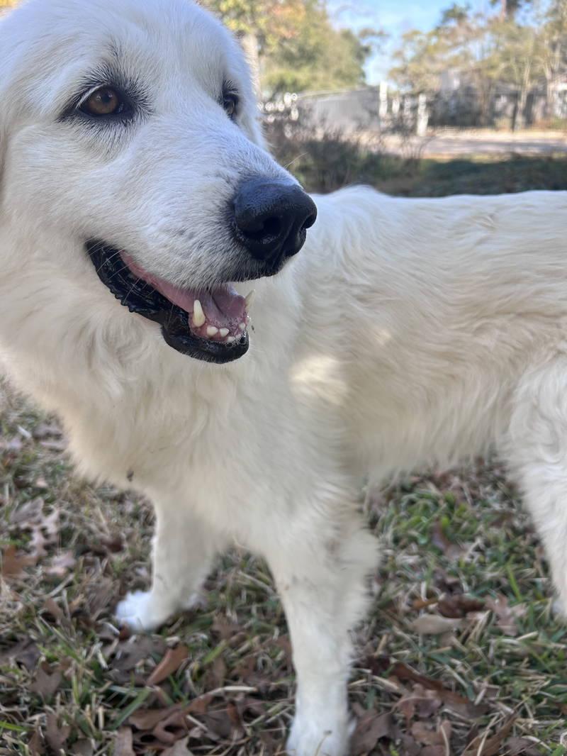 Angelita — thumbnail 5