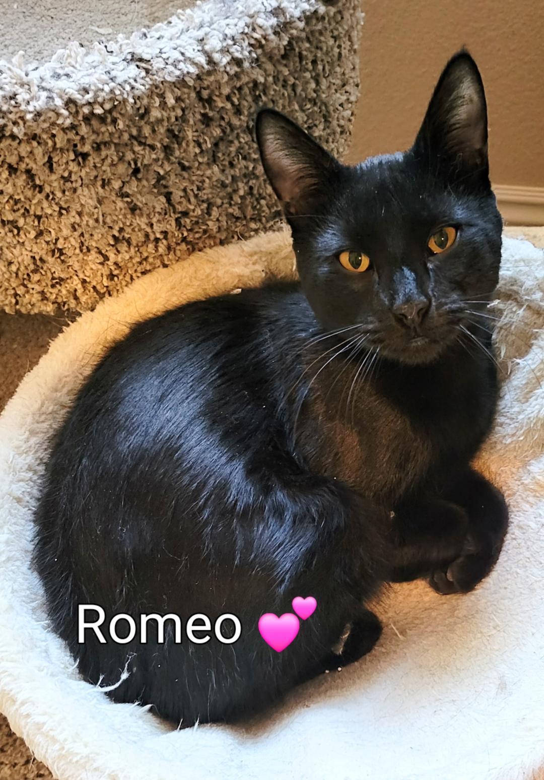 Romeo
