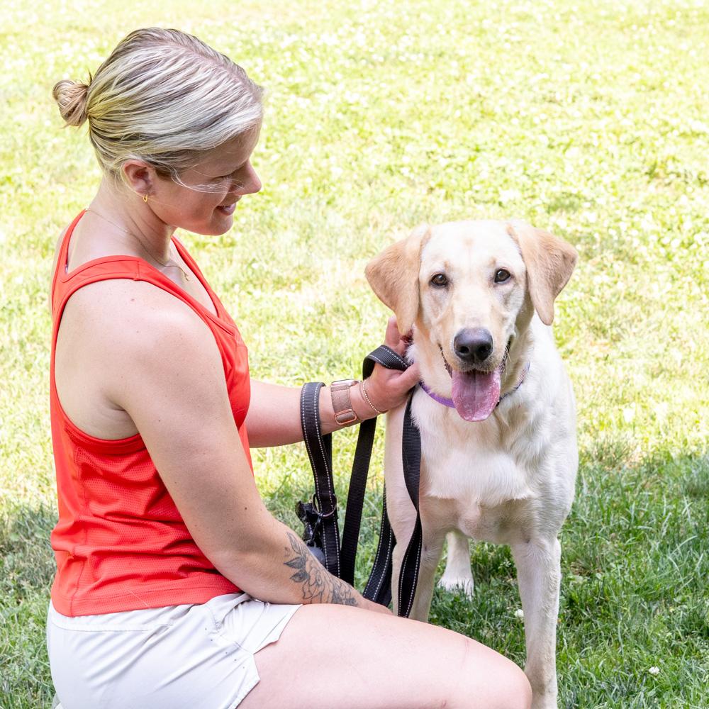 Billie (Female), a Adoptable Yellow Labrador Retriever in West Grove, PA image 6/6