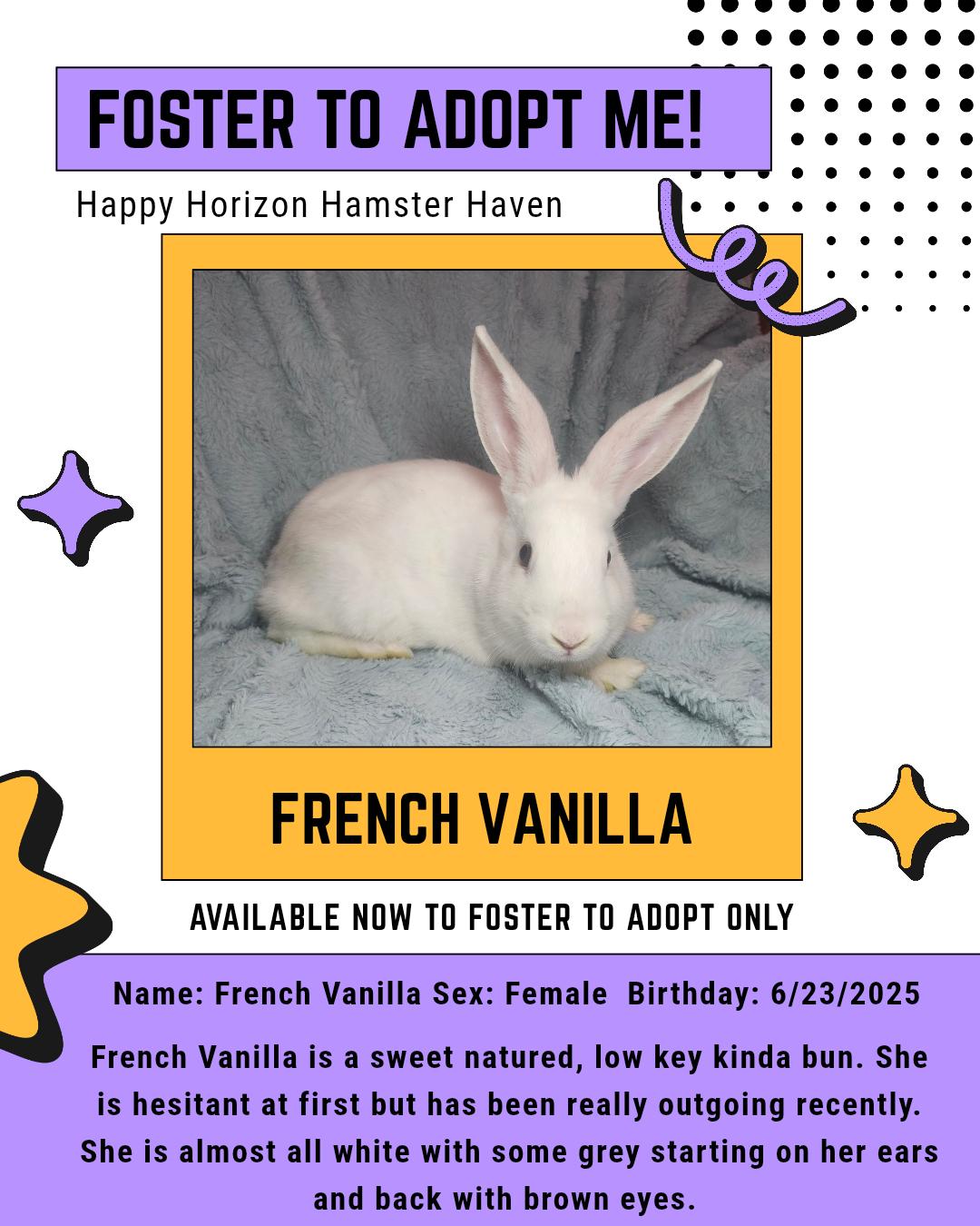 French Vanilla