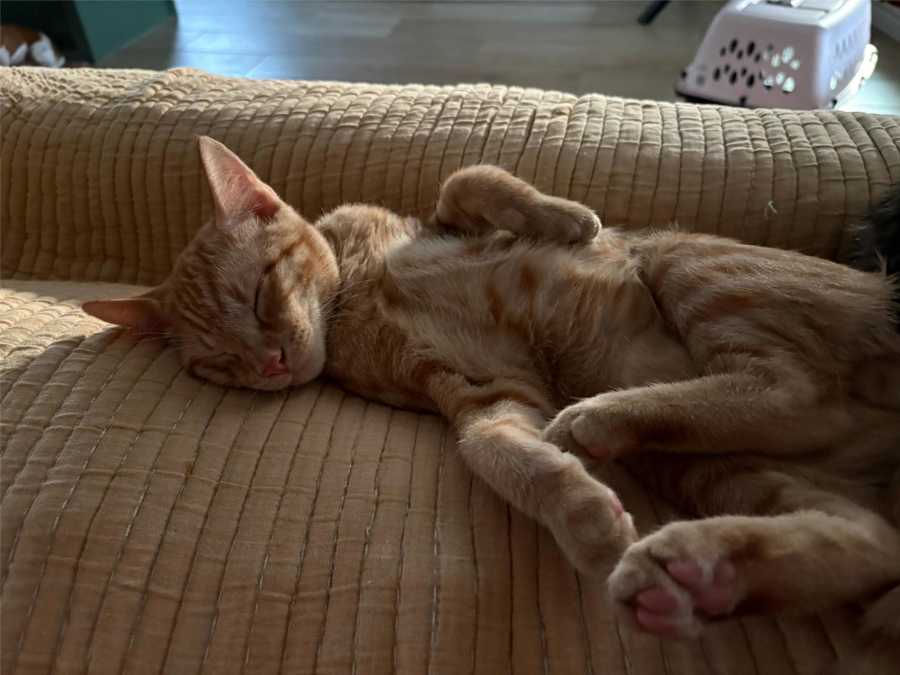 Charlie photo 2