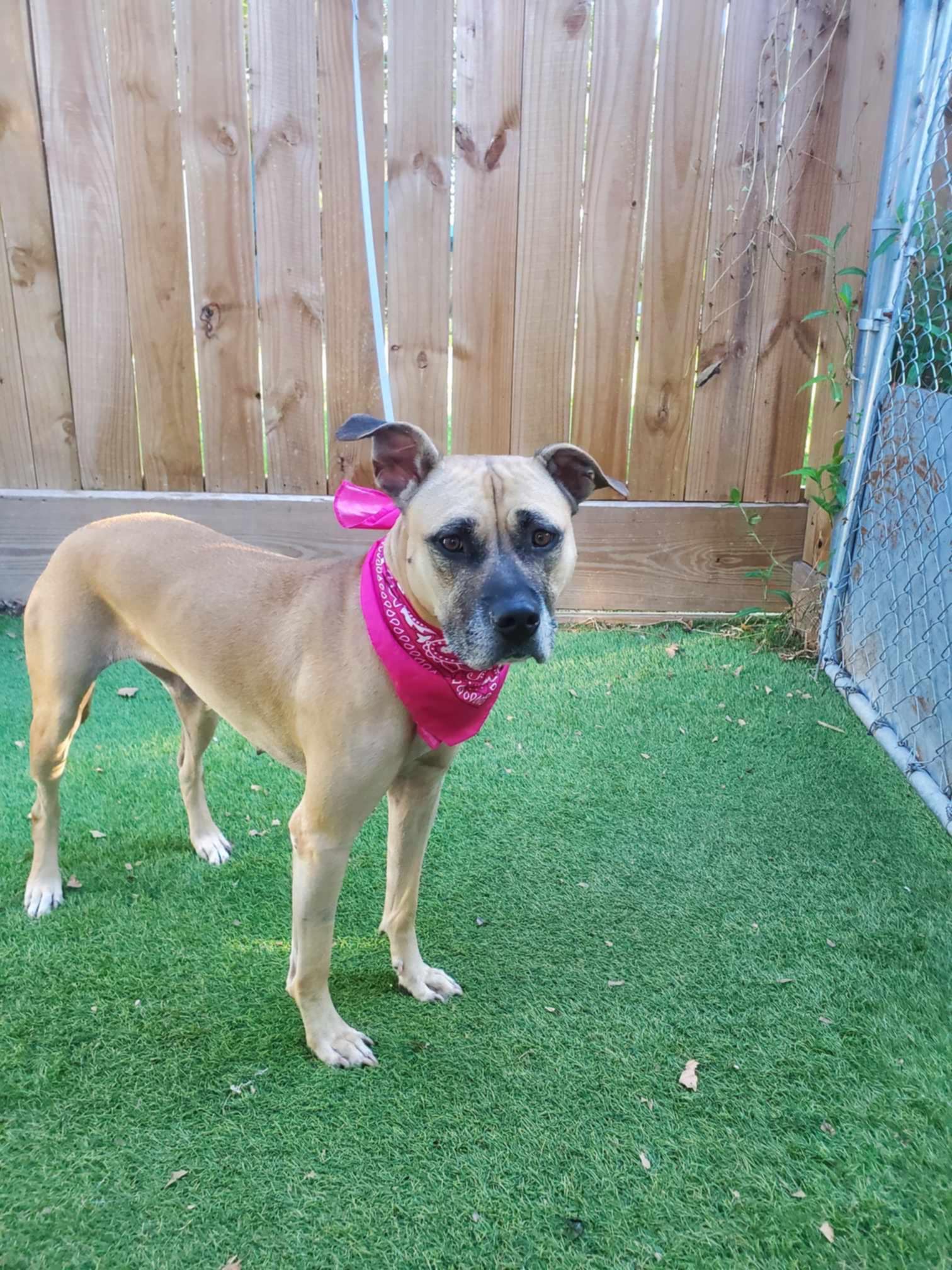 Crystal — thumbnail 3