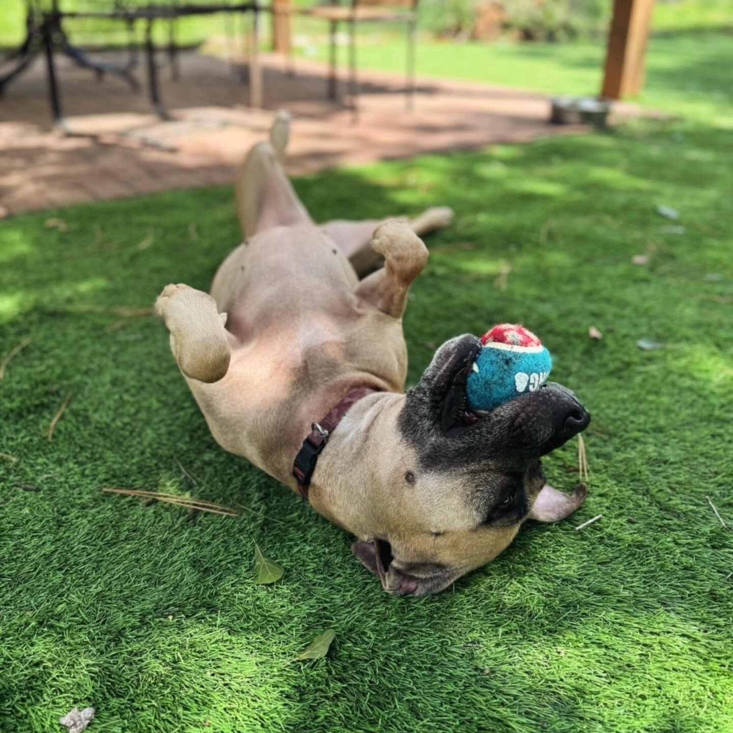 Crystal — thumbnail 4