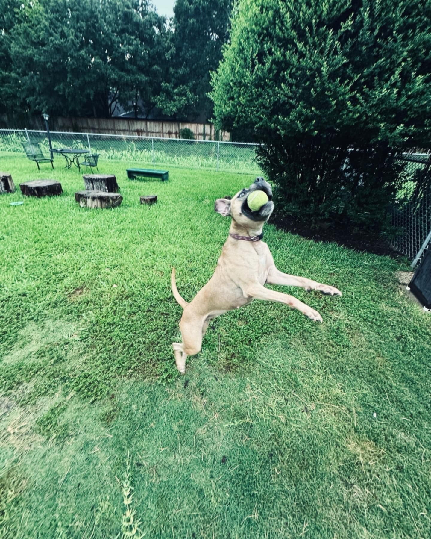 Crystal — thumbnail 5