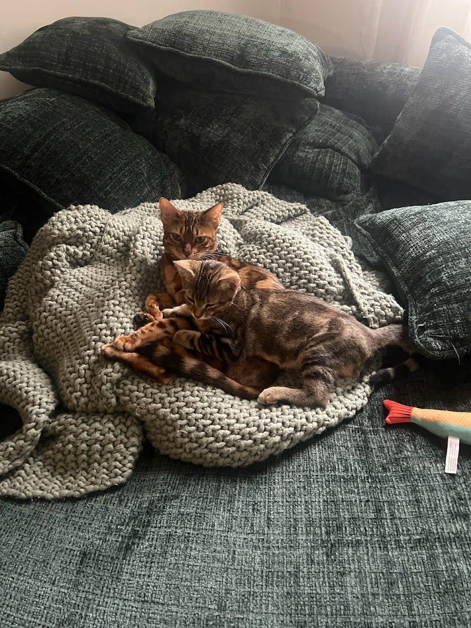 Juanita
