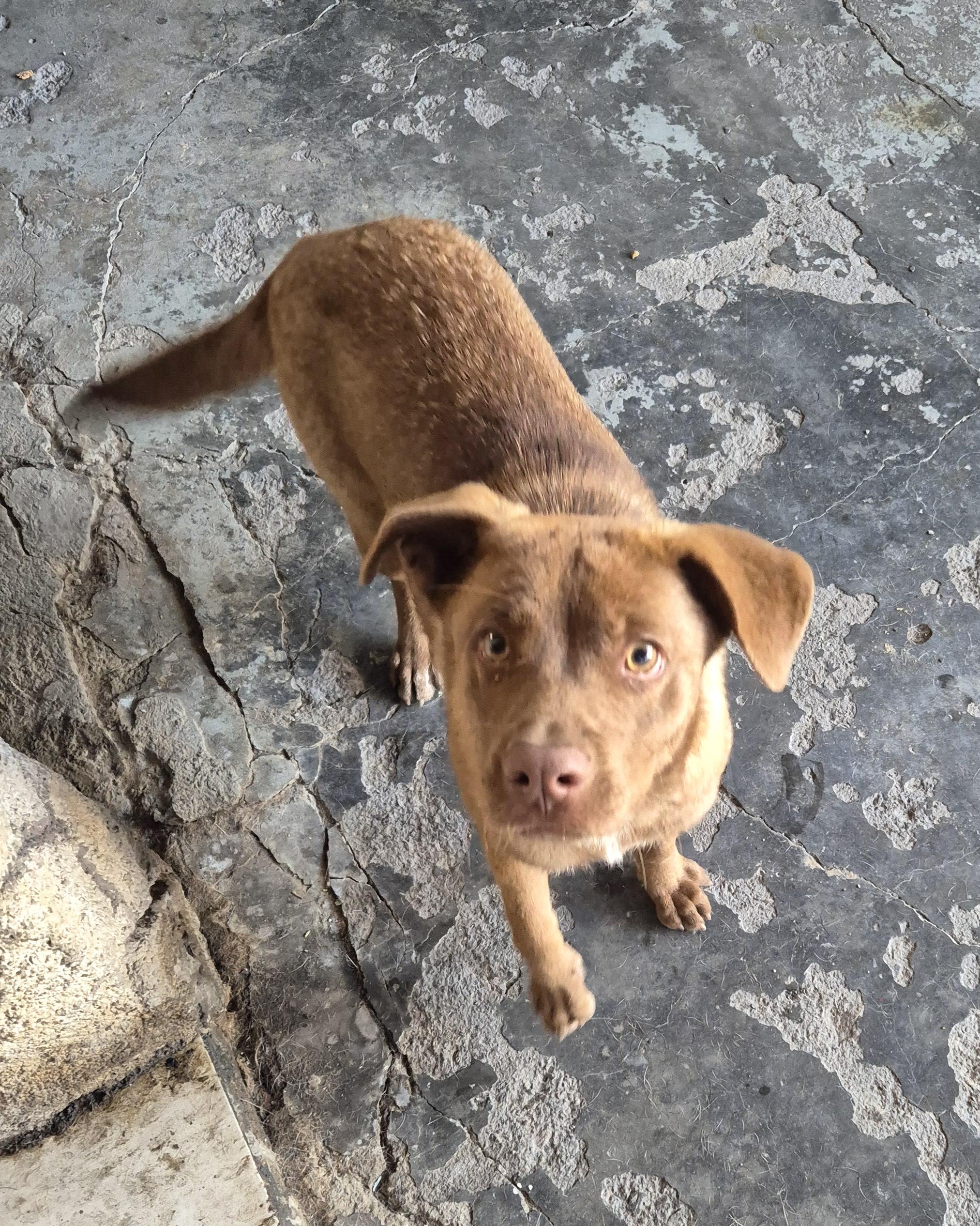 Malty — thumbnail 4