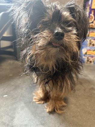 Sprocket — thumbnail 3