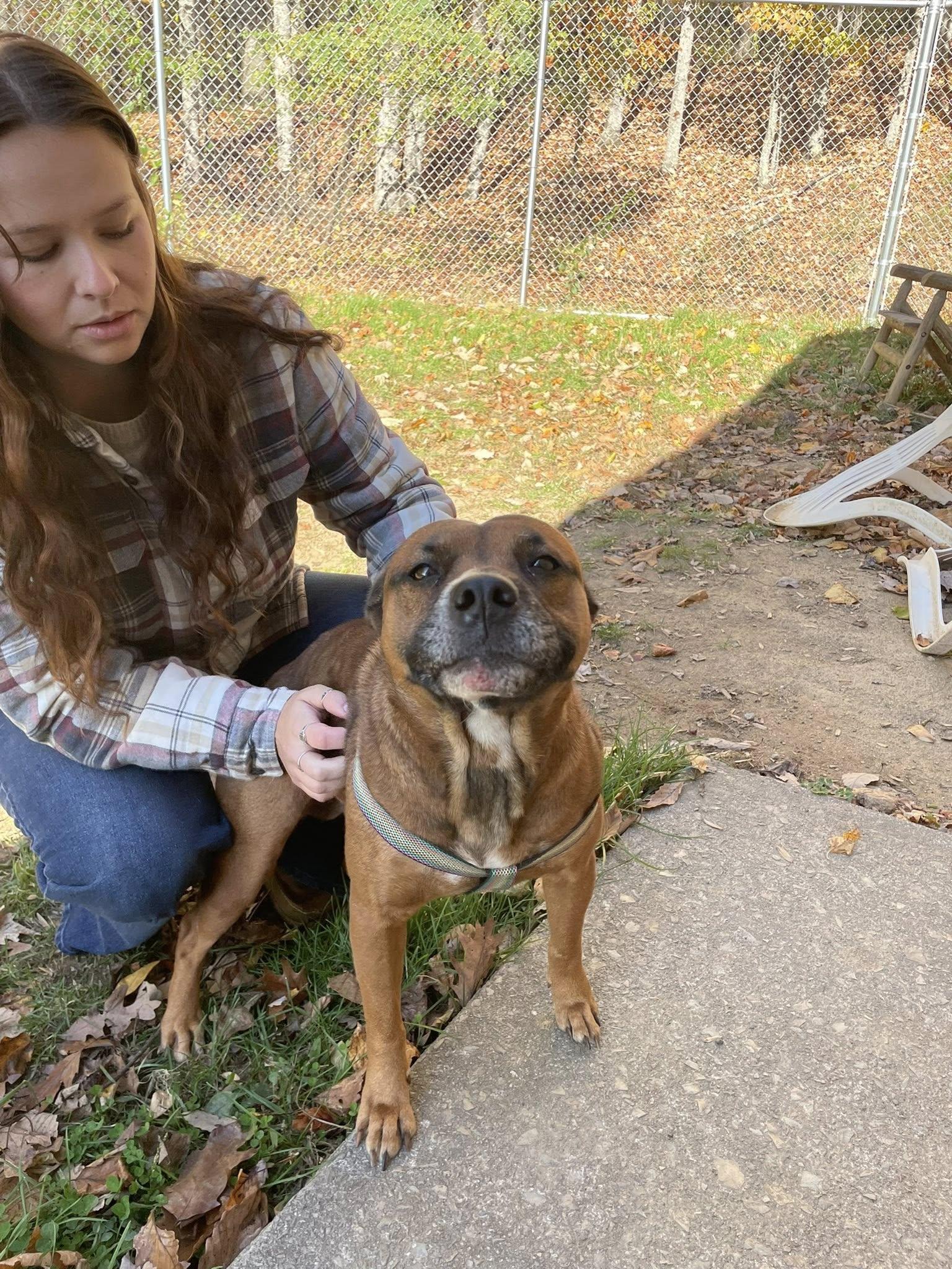 Enlarge Mia, a Adopted mixed breed in Floyd, VA image 1/6