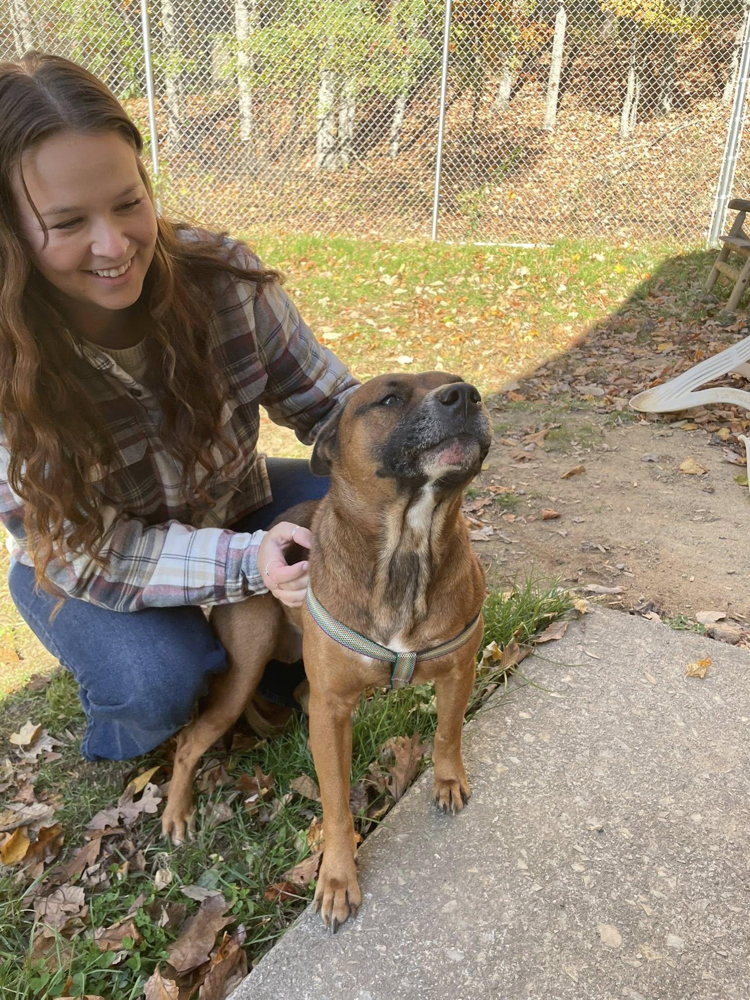 Enlarge Mia, a Adopted mixed breed in Floyd, VA image 2/6