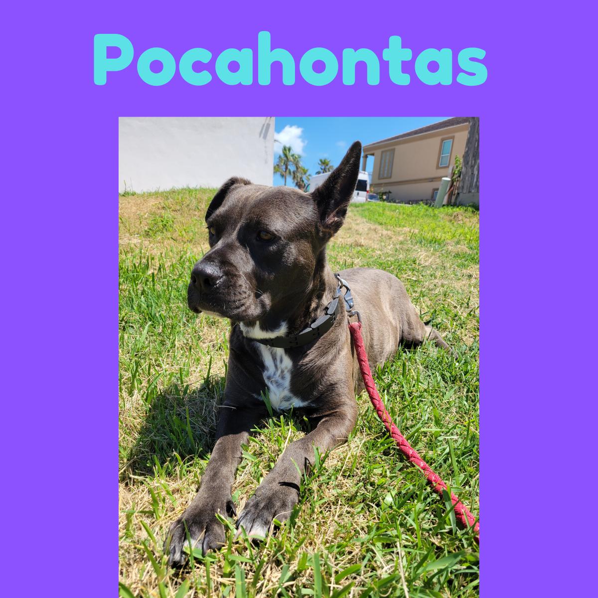 Pocahontas