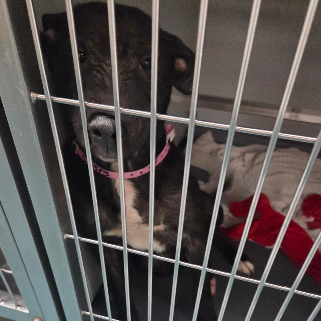 Elizabeth — thumbnail 2