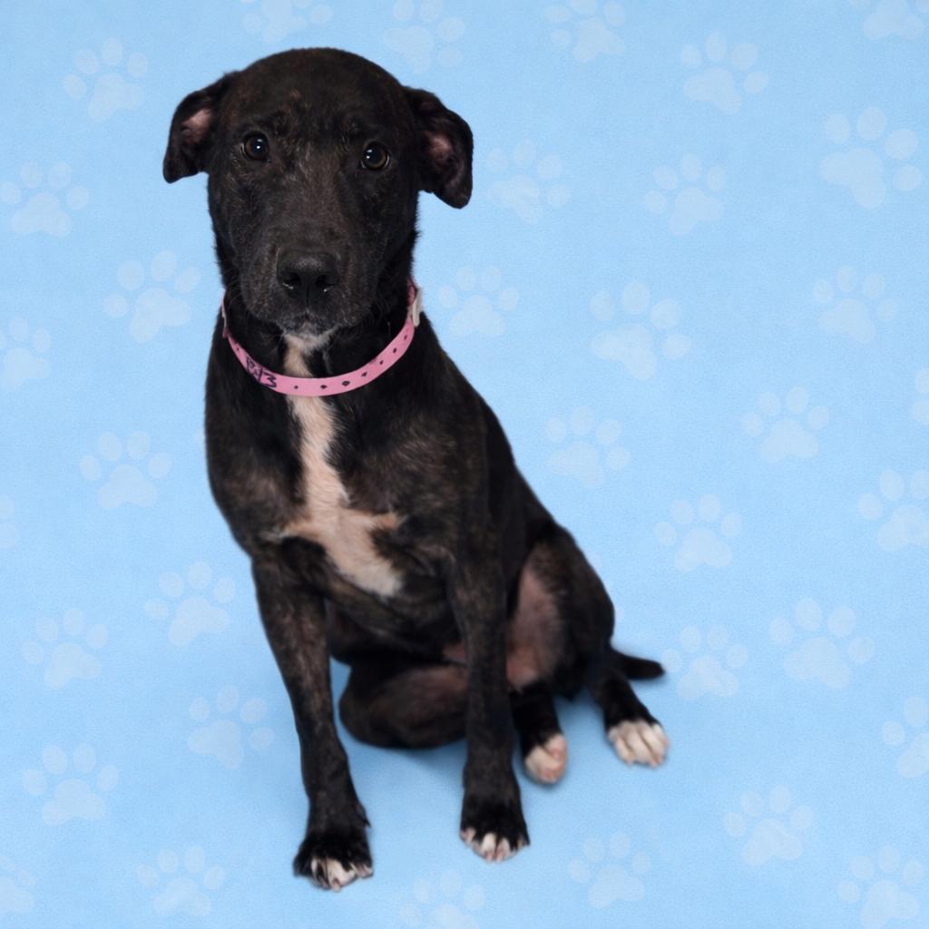 Elizabeth — thumbnail 3