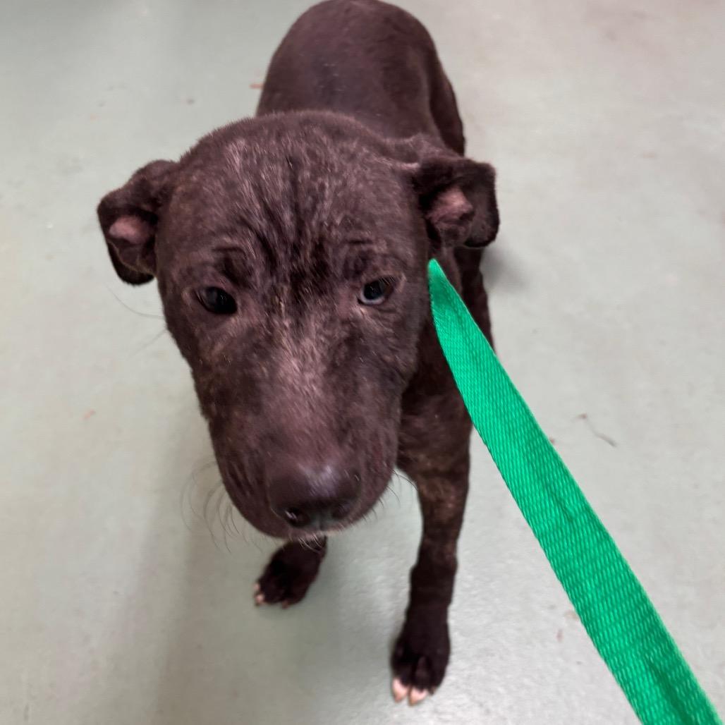 Elizabeth — thumbnail 4