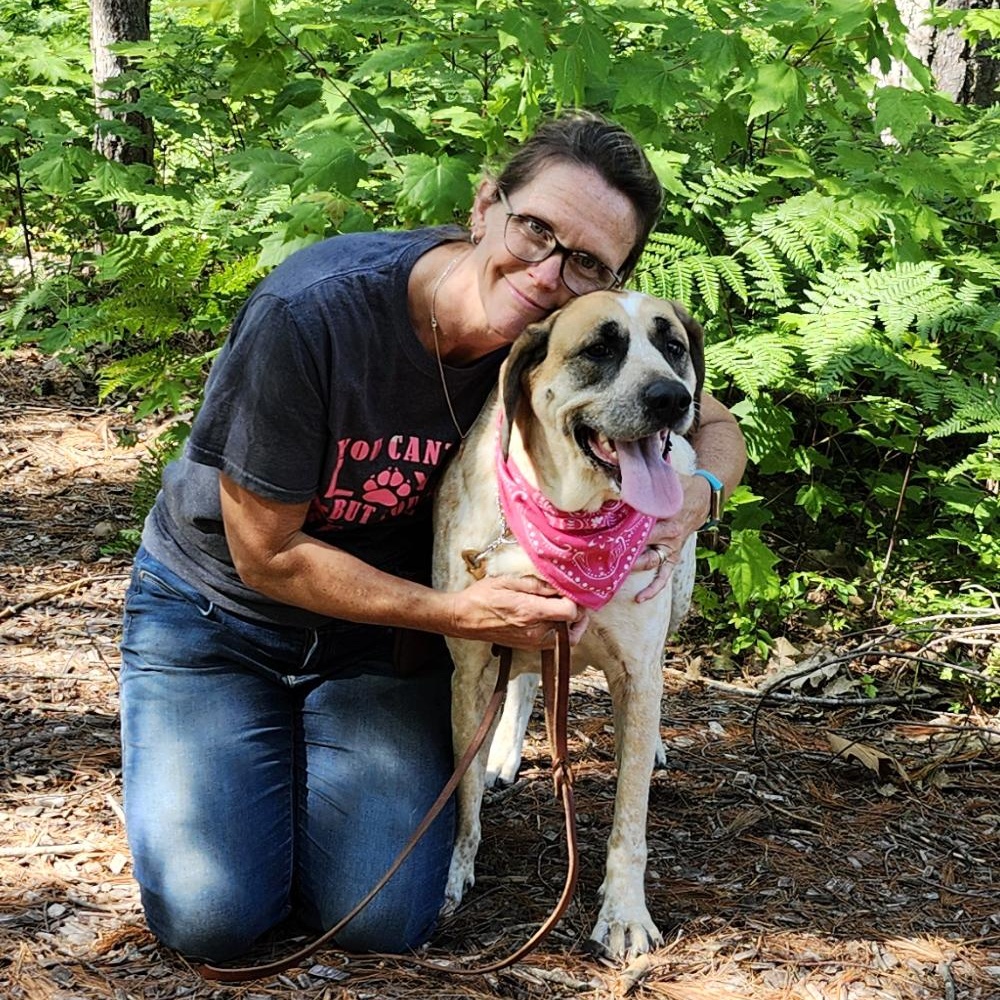 Marley, Adult Female Hound