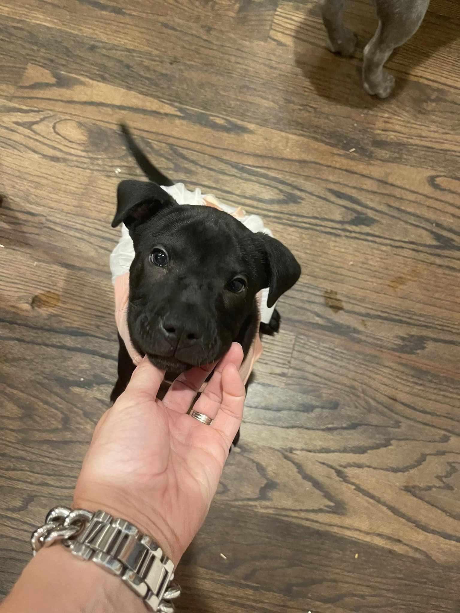 Winnie