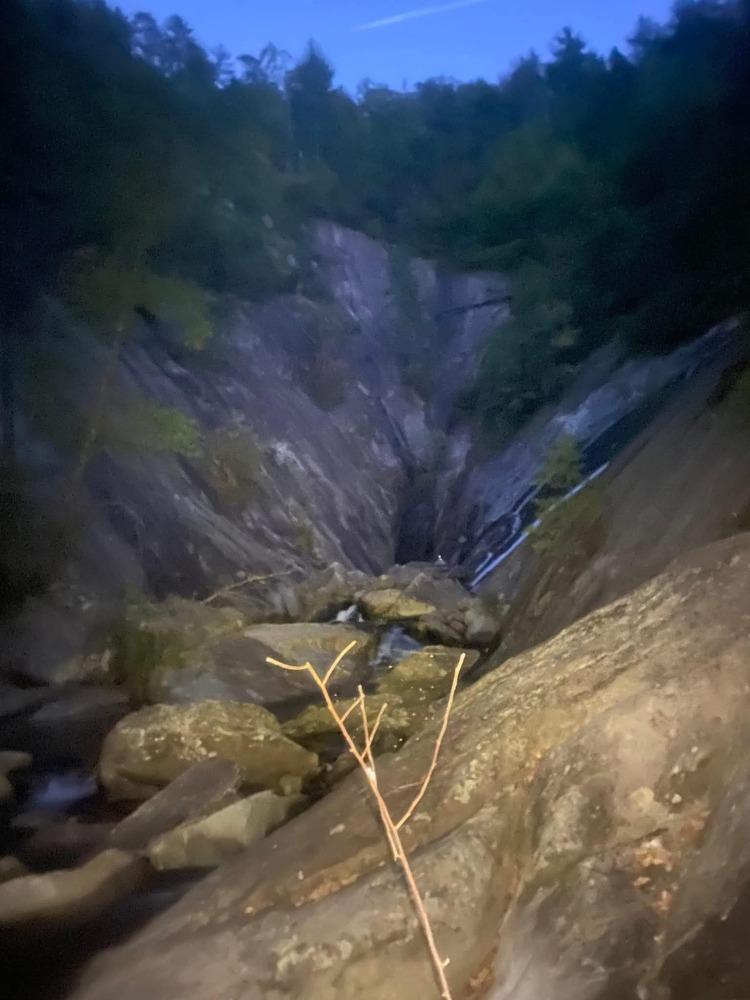 Harper, a Adoptable Foxhound in Statesville, NC image 3/4