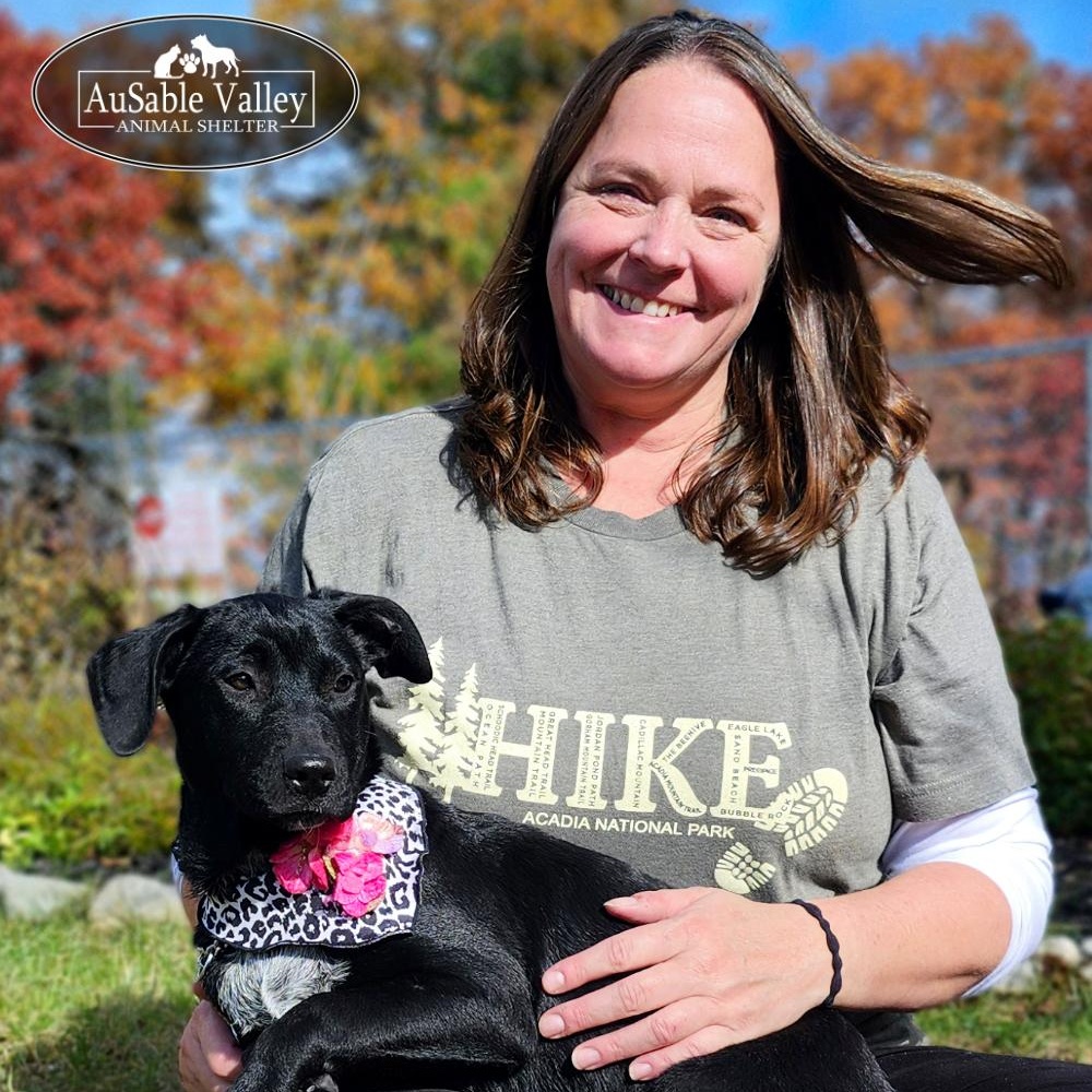 Torrie Wilson, an adoptable Australian Cattle Dog / Blue Heeler, American Staffordshire Terrier in Grayling, MI, 49738 | Photo Image 1