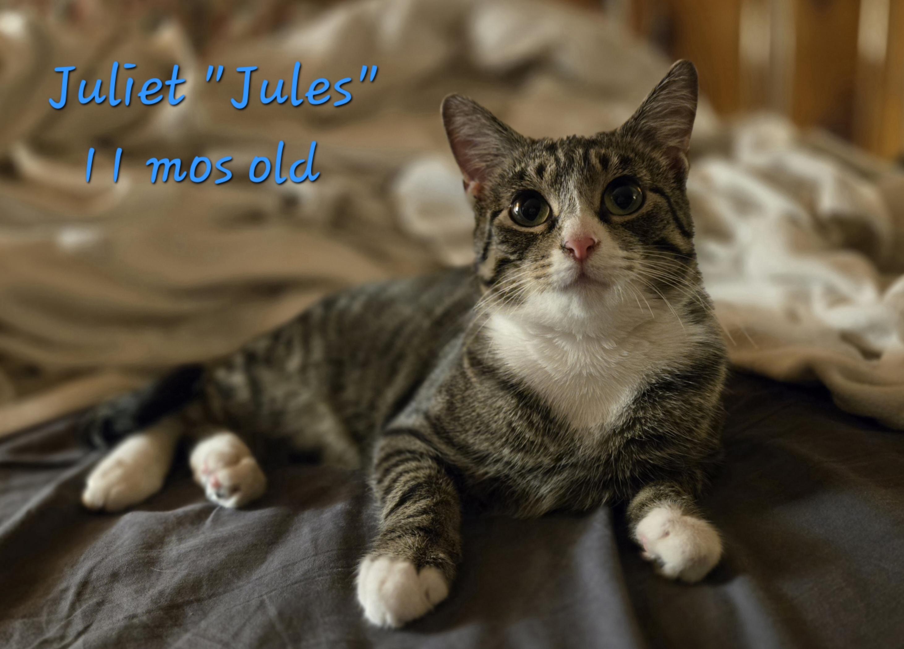 Juliet (Jules)