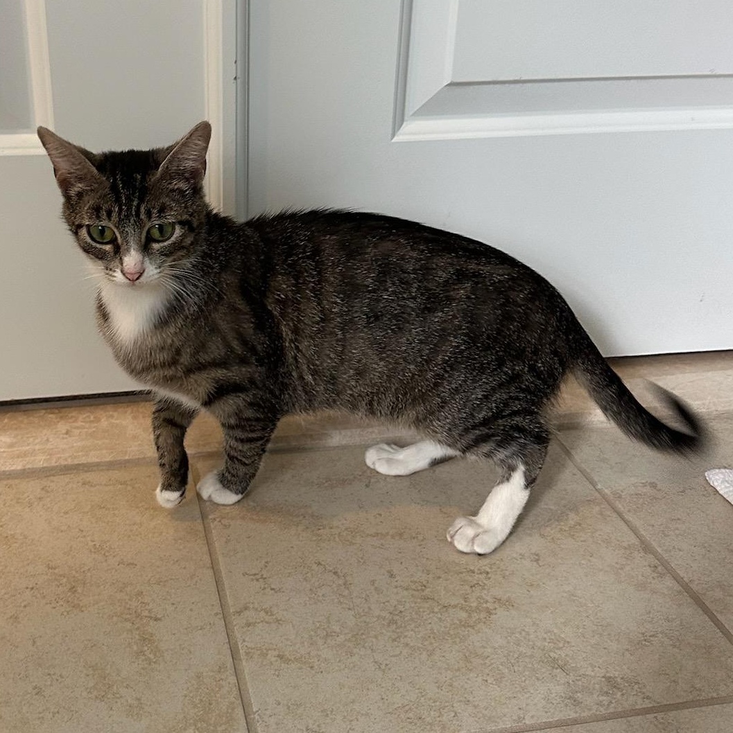 Juliet (Jules)