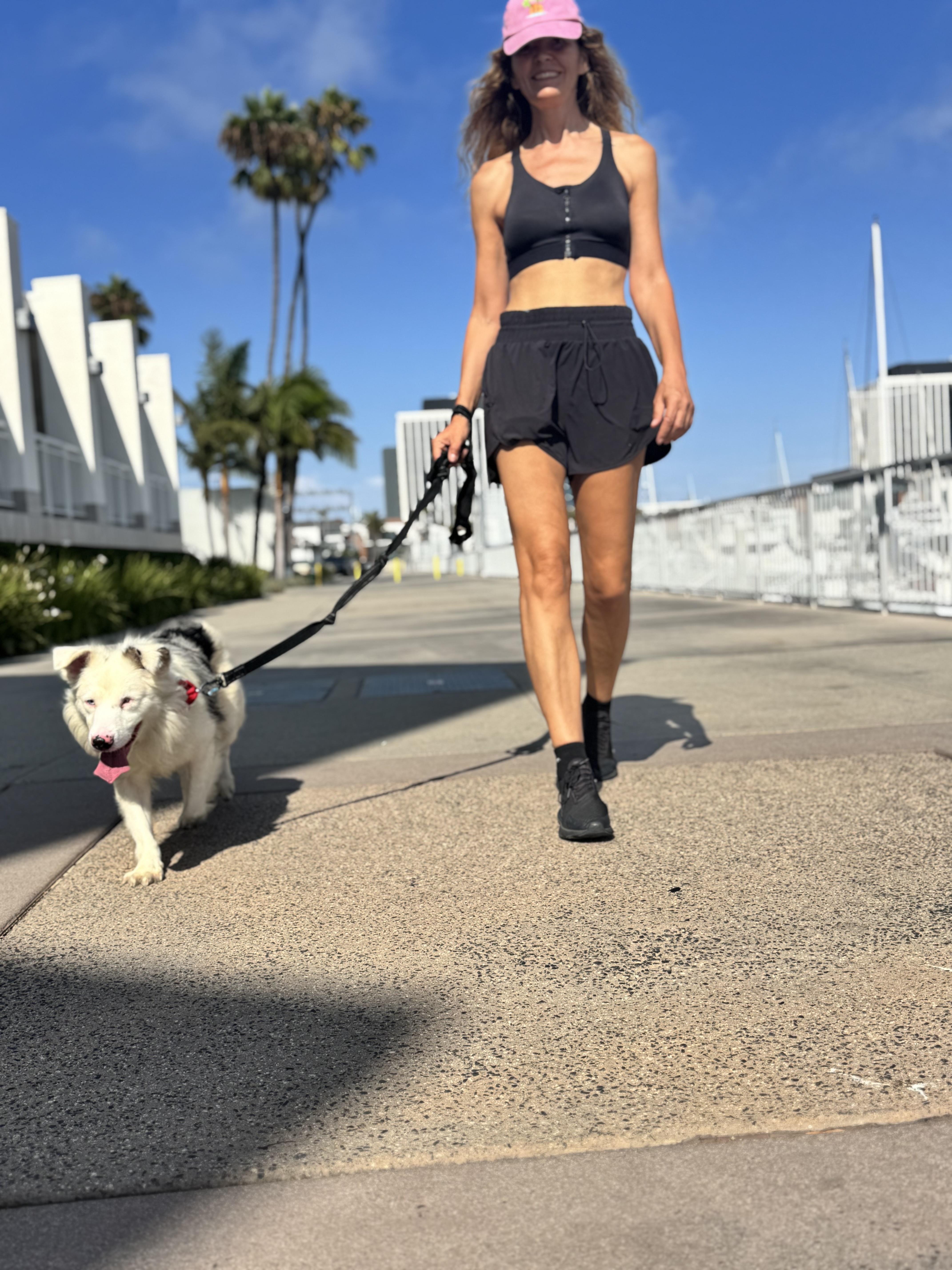 Rudolph, an adopted Australian Shepherd in Los Angeles, CA image 6/6