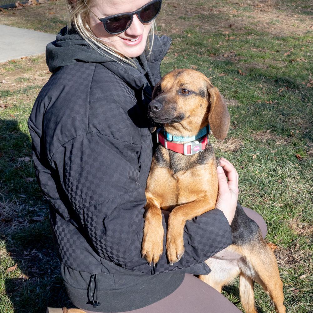 Enlarge Nina (Female)  , a Adoptable mixed breed in West Grove, PA image 5/6