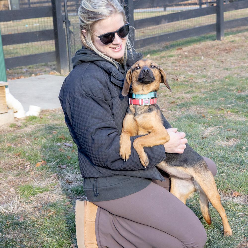 Enlarge Nina (Female)  , a Adoptable mixed breed in West Grove, PA image 6/6