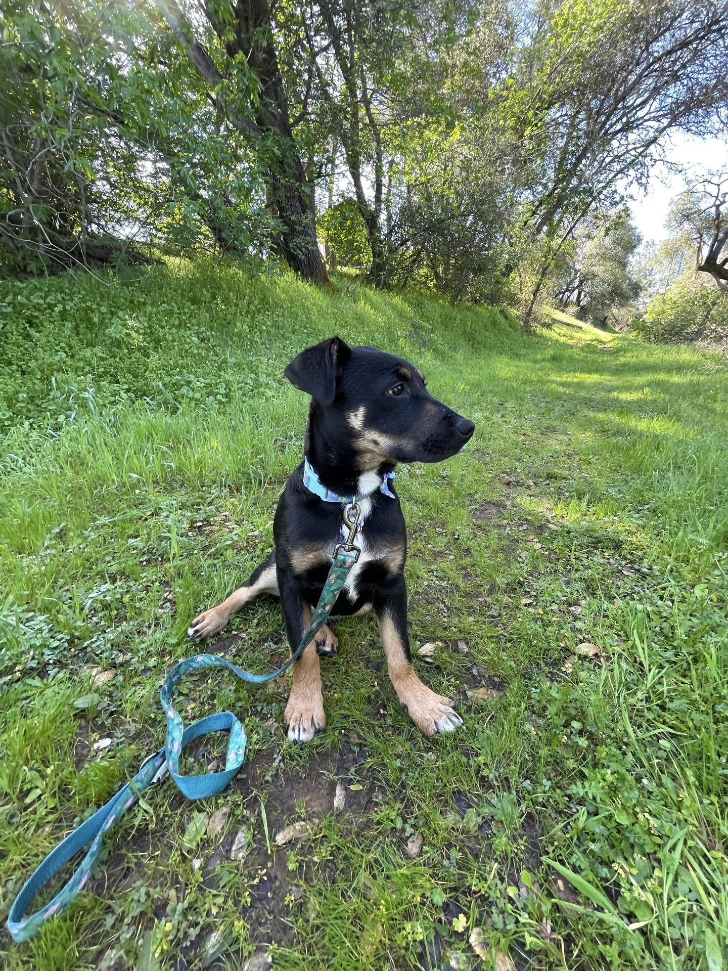 Lucy — thumbnail 2