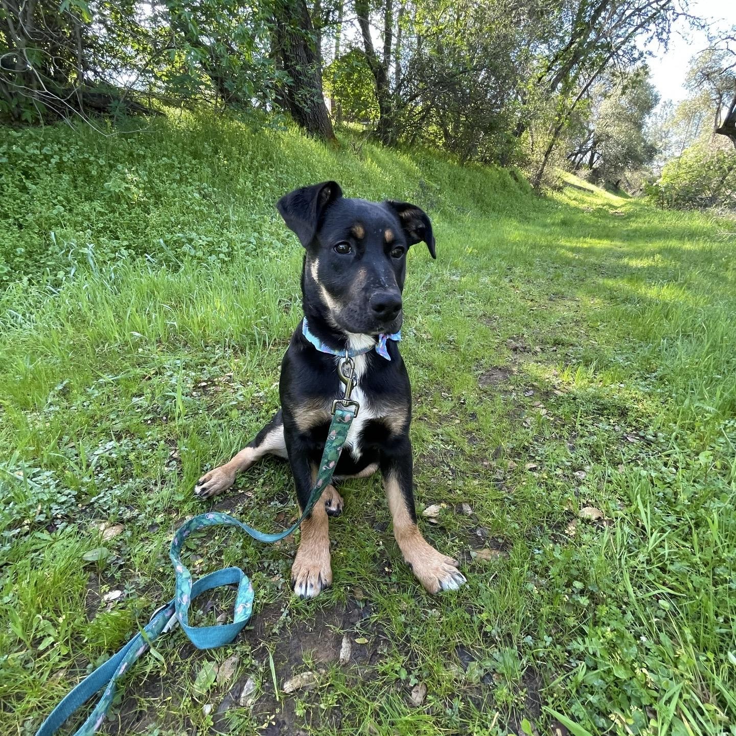 Lucy — thumbnail 3