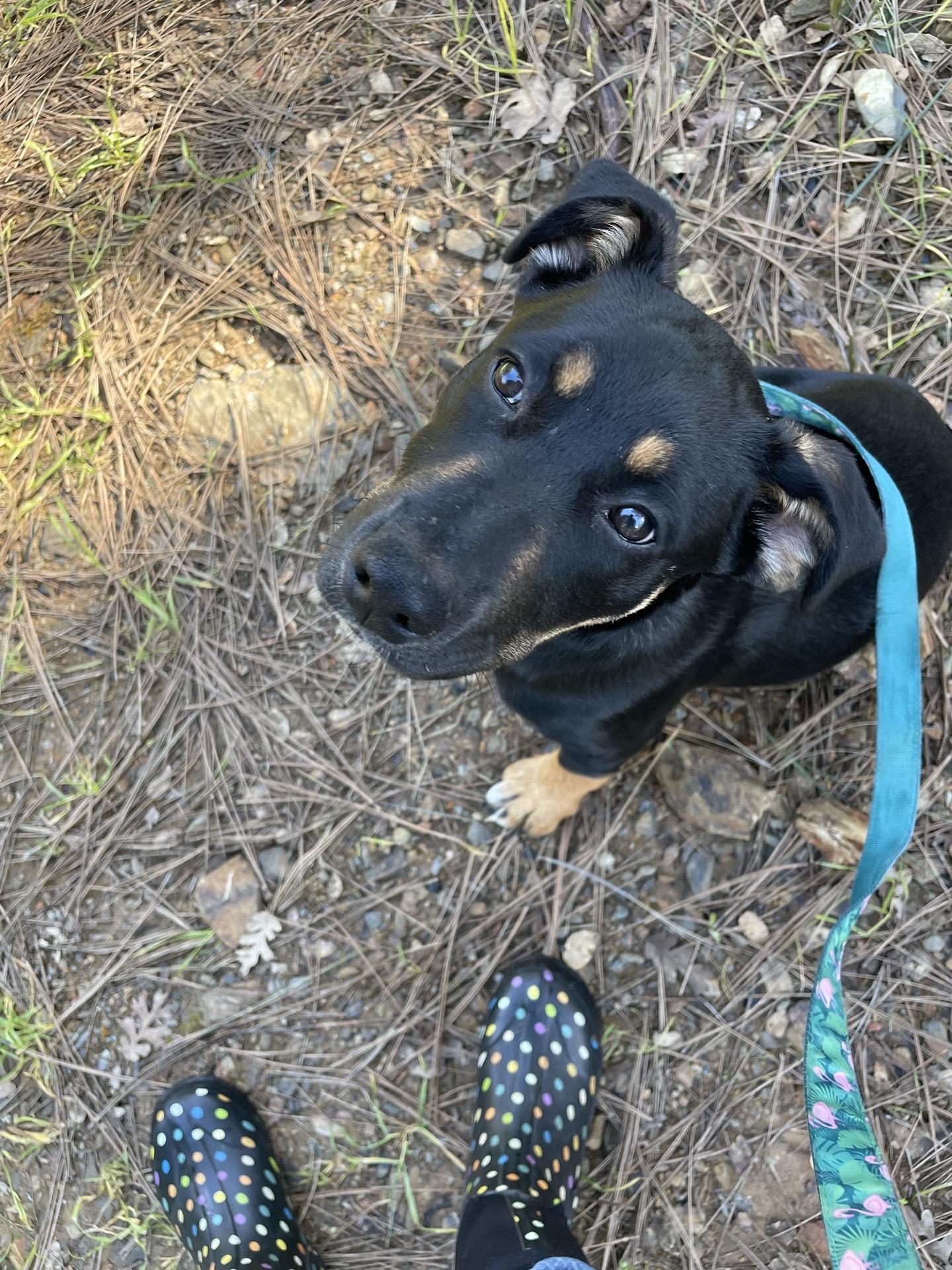 Lucy — thumbnail 5