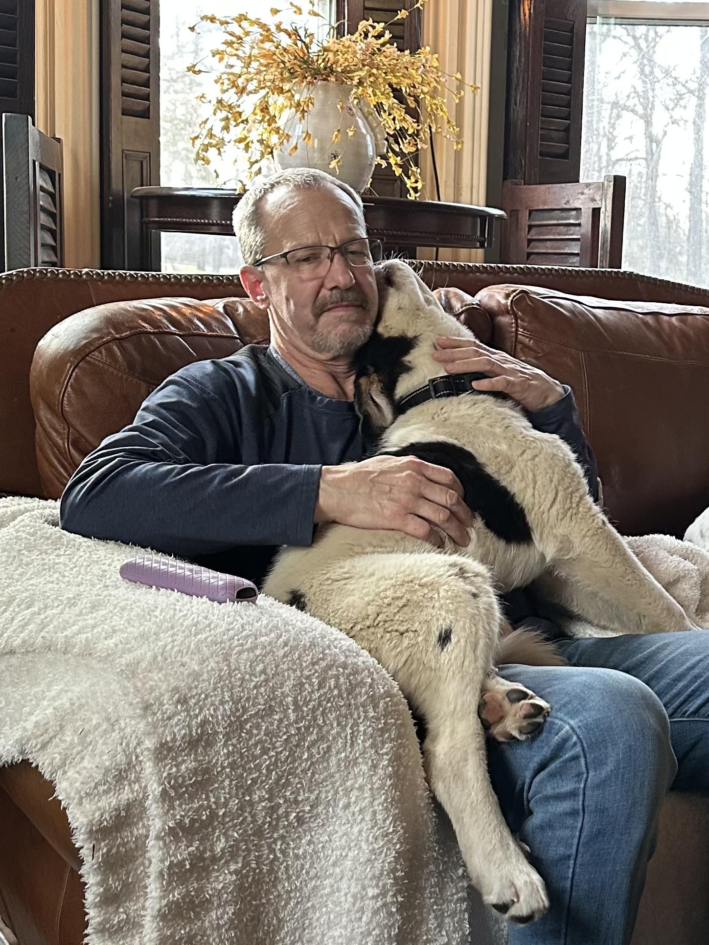 Enlarge Reese, a ADOPTABLE mixed breed in HONEY BROOK, PA image 6/6