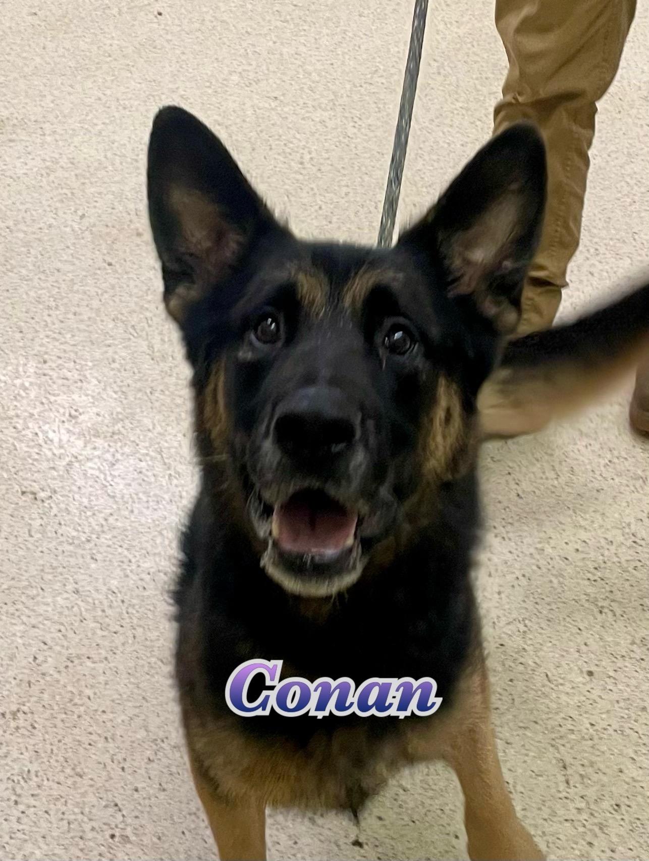 Conan