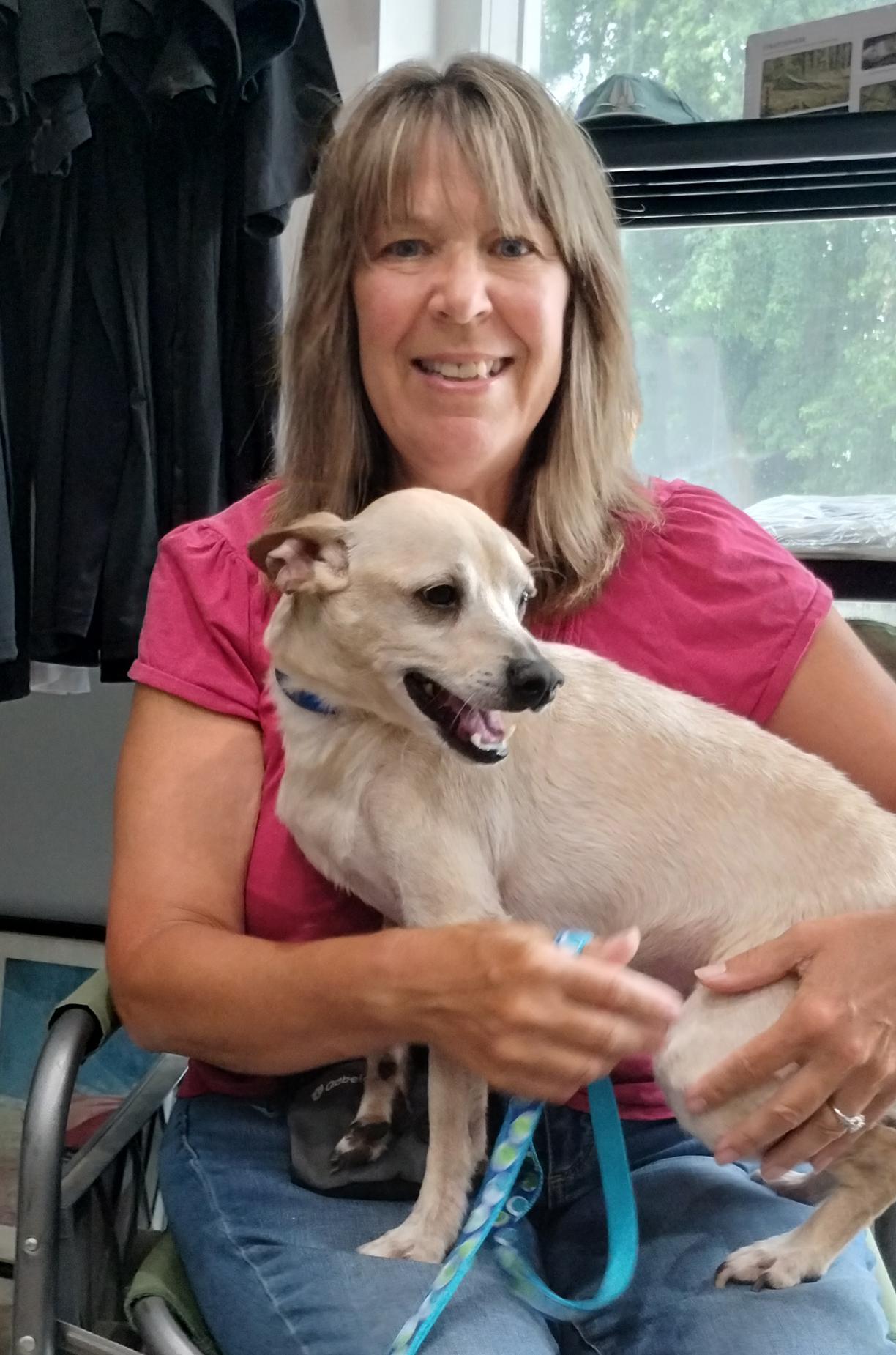 Elvis, an adopted mixed breed in Benton Harbor, MI image 6/6