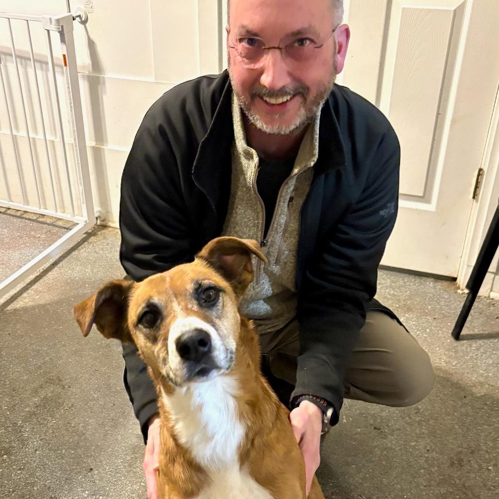 Enlarge Bean, a Adoptable mixed breed in Metamora, MI image 2/6