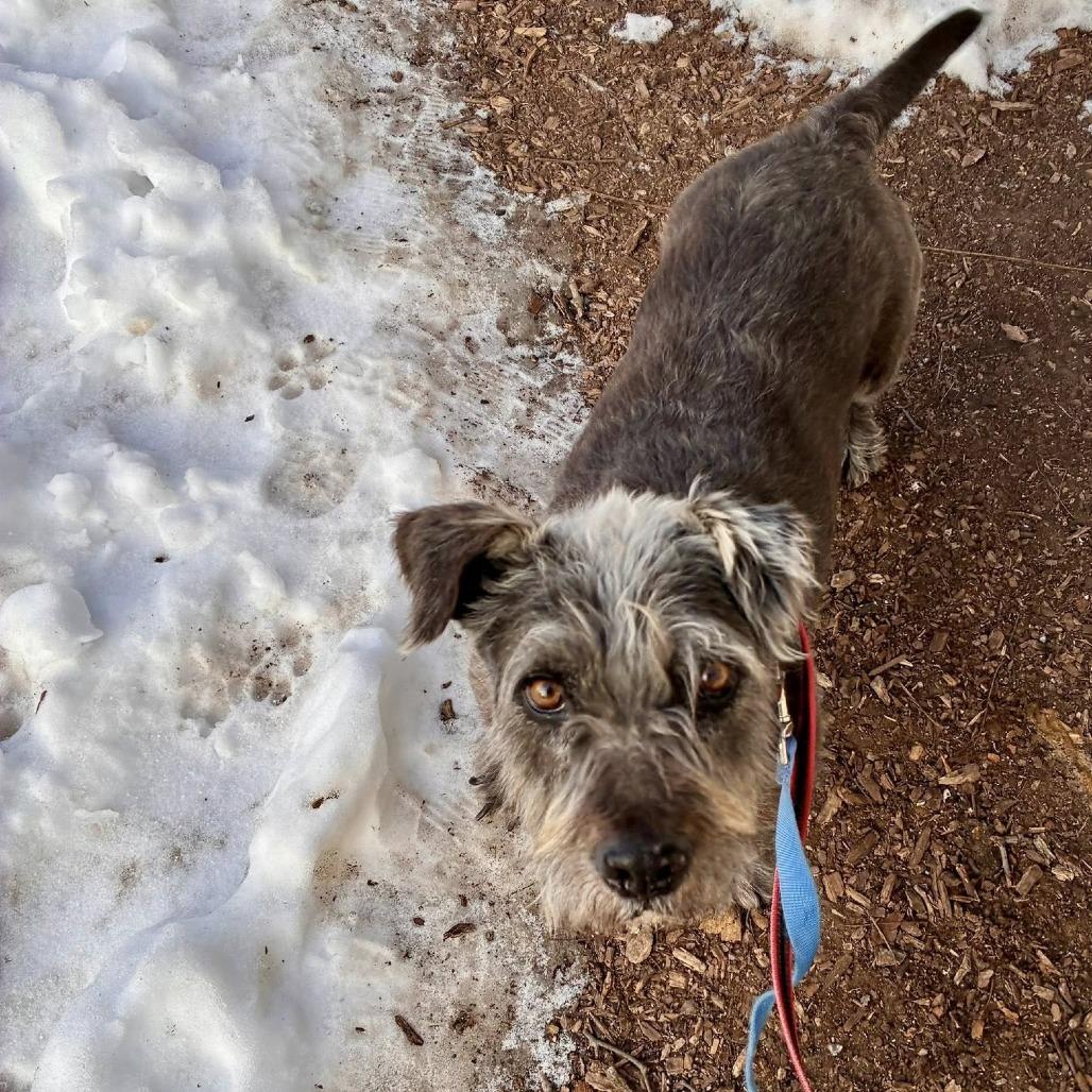 Benny — thumbnail 3