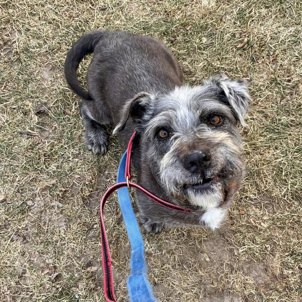 Benny — thumbnail 4