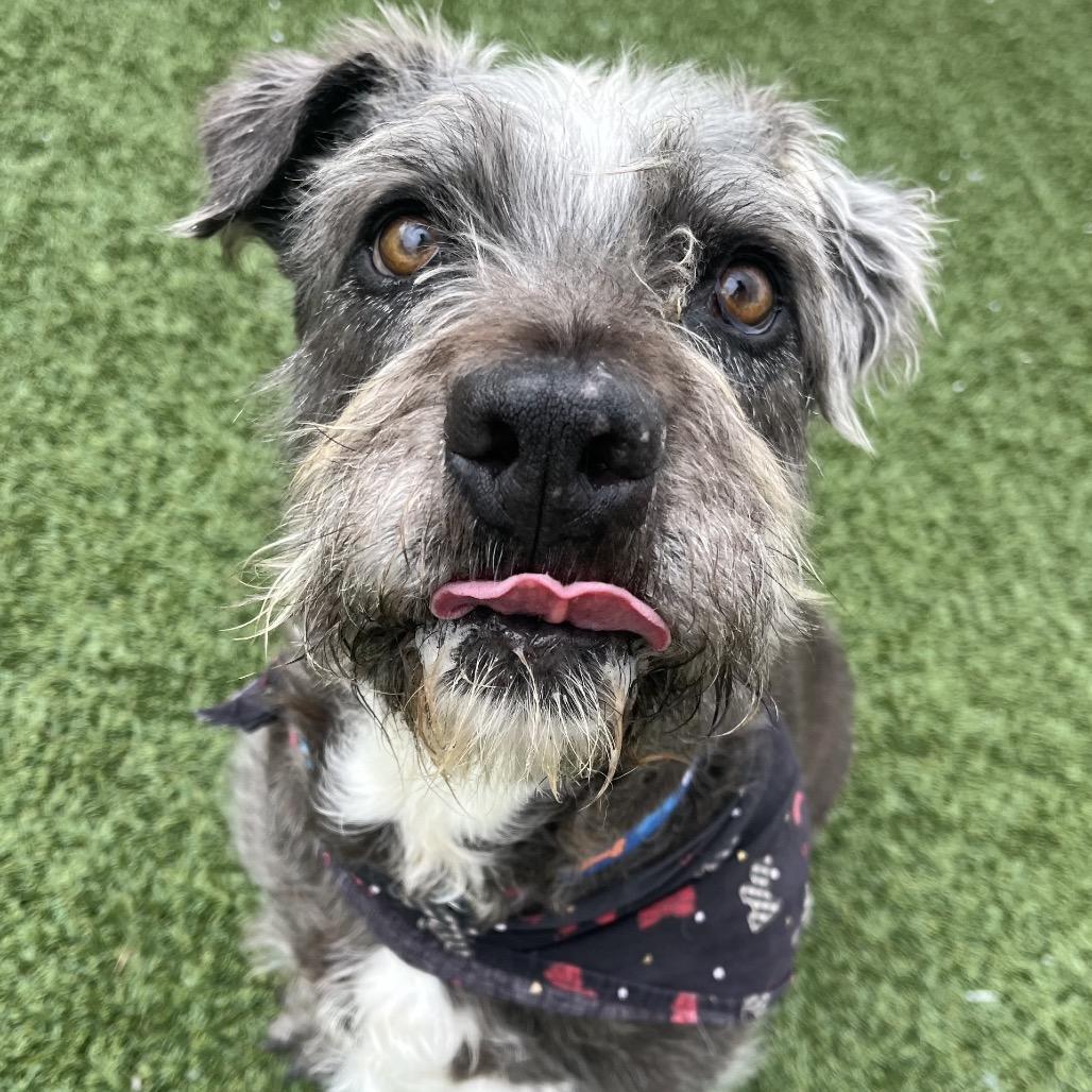 Benny — thumbnail 5