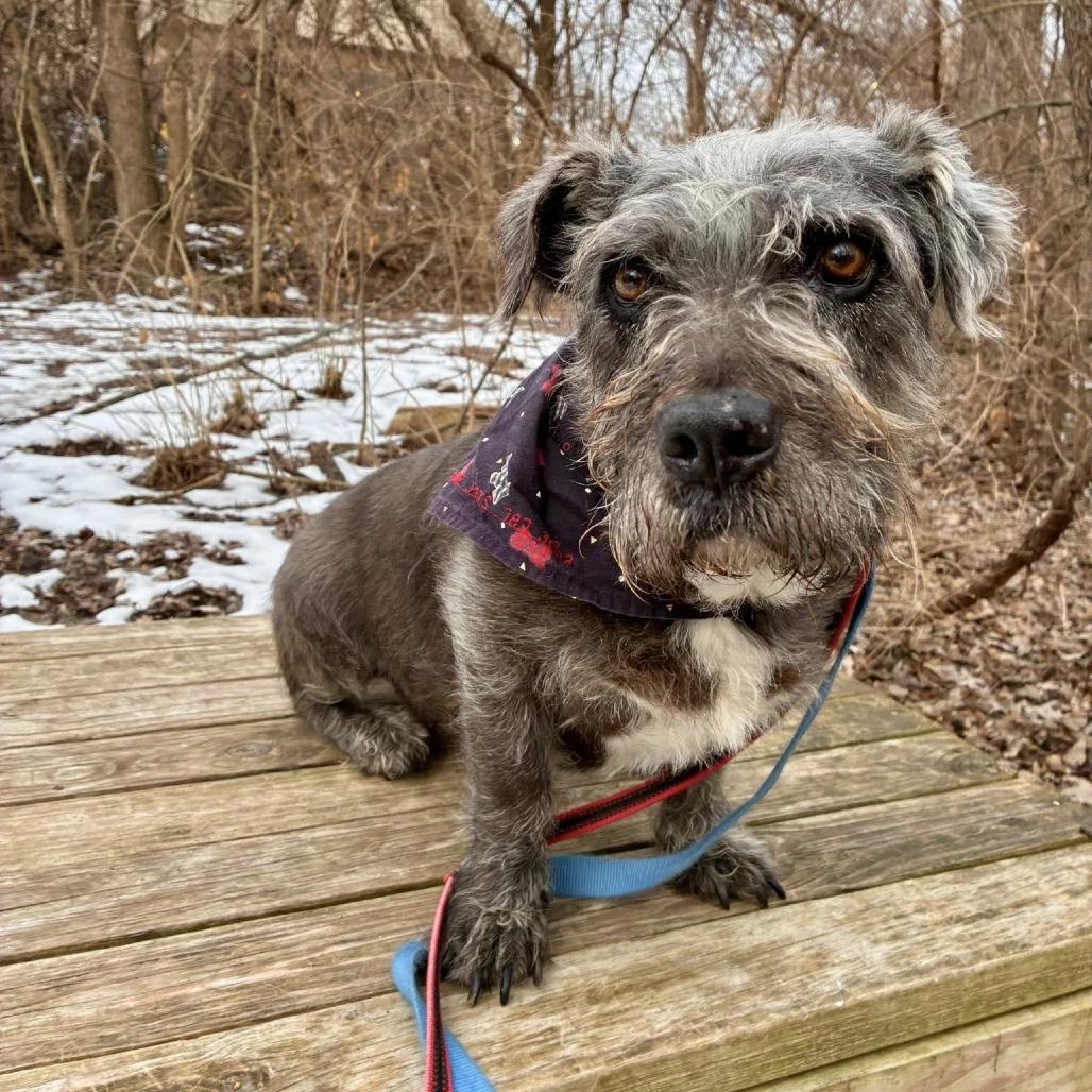 Benny — thumbnail 6