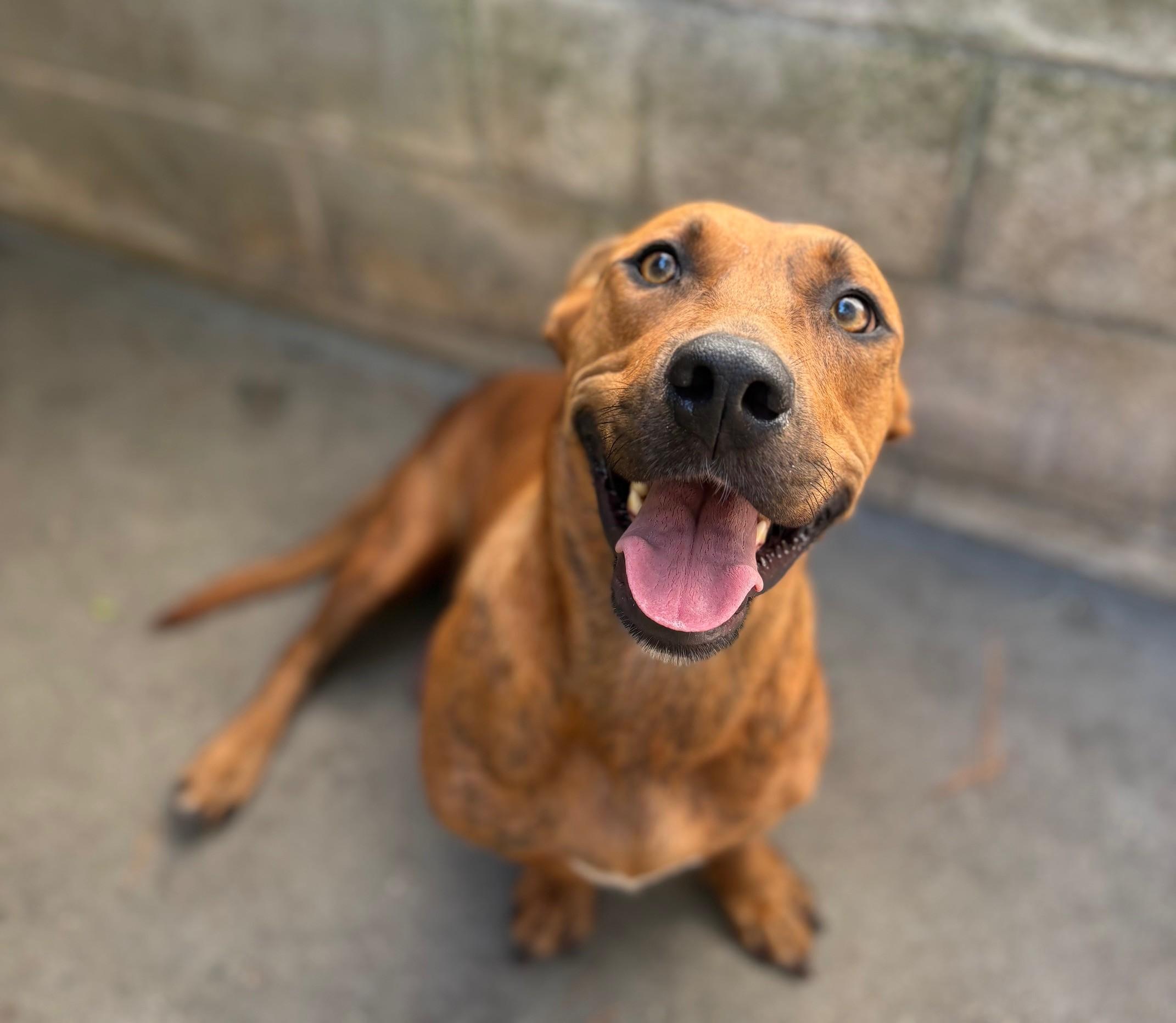 Della