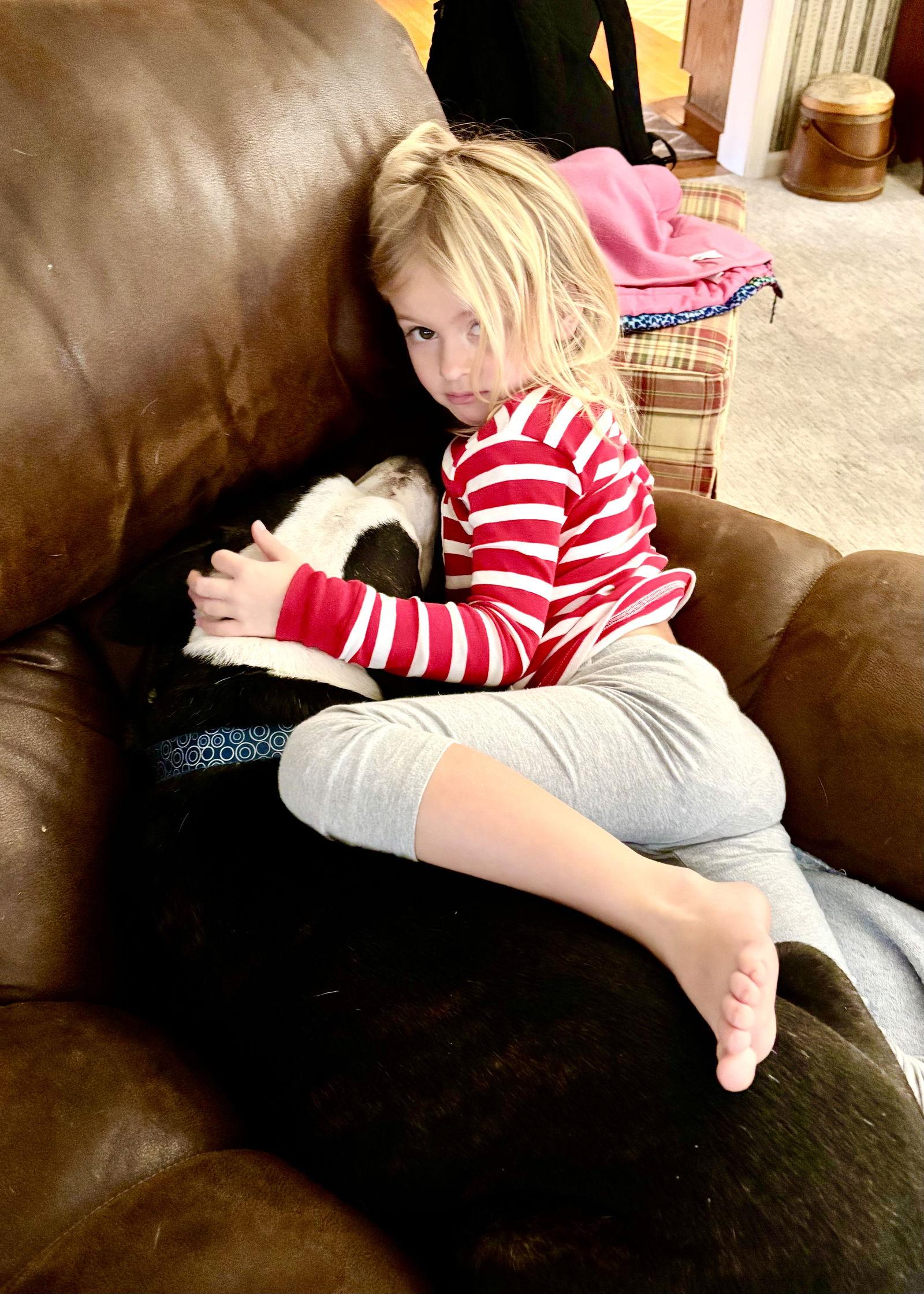 Paw Paw Walter, a Adoptable mixed breed in Blackwood, NJ image 1/3