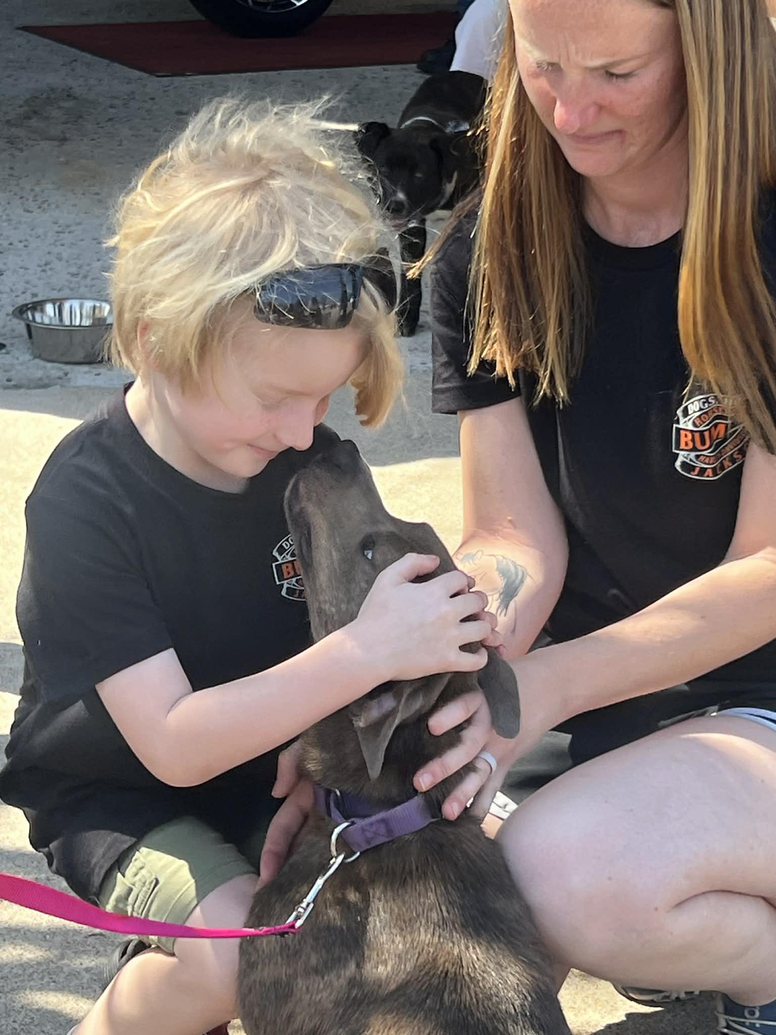 Enlarge Peggy Sue, a ADOPTABLE mixed breed in Medfield, MA image 3/6