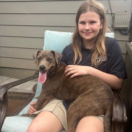 Enlarge Peggy Sue, a ADOPTABLE mixed breed in Medfield, MA image 1/6