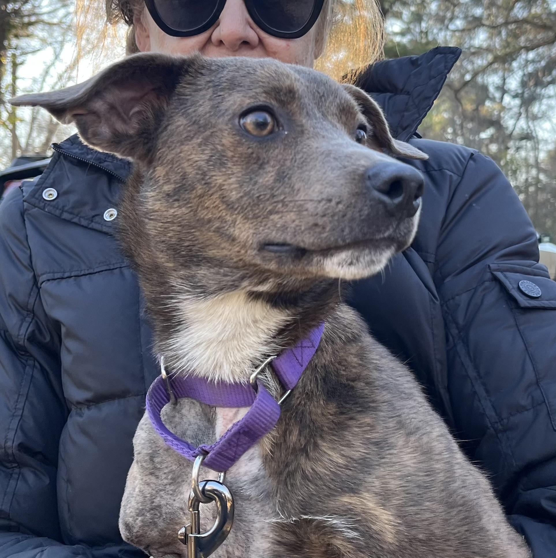 Peggy Sue thumbnail 3