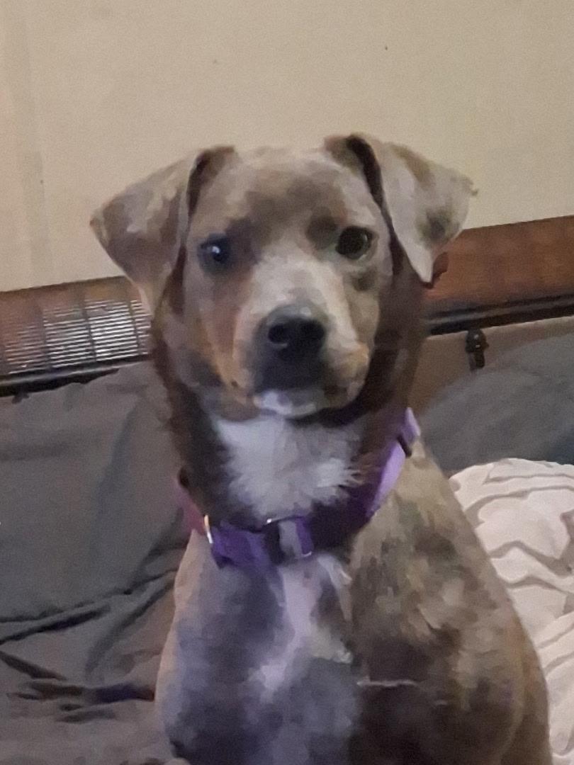 Peggy Sue thumbnail 5