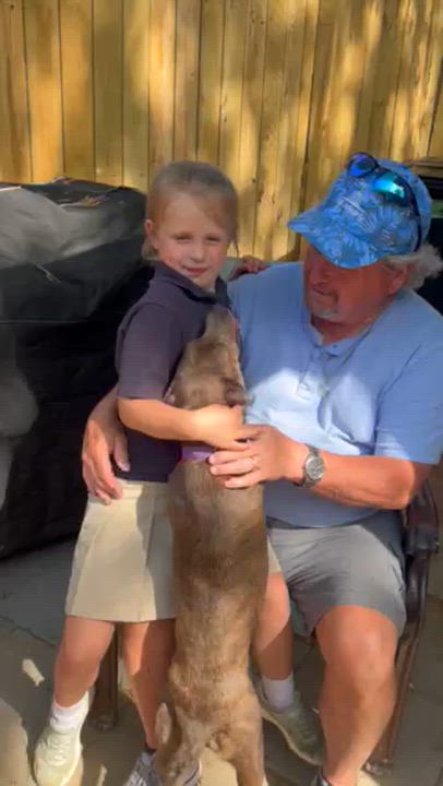 Enlarge Peggy Sue, a ADOPTABLE mixed breed in Medfield, MA video 6/6