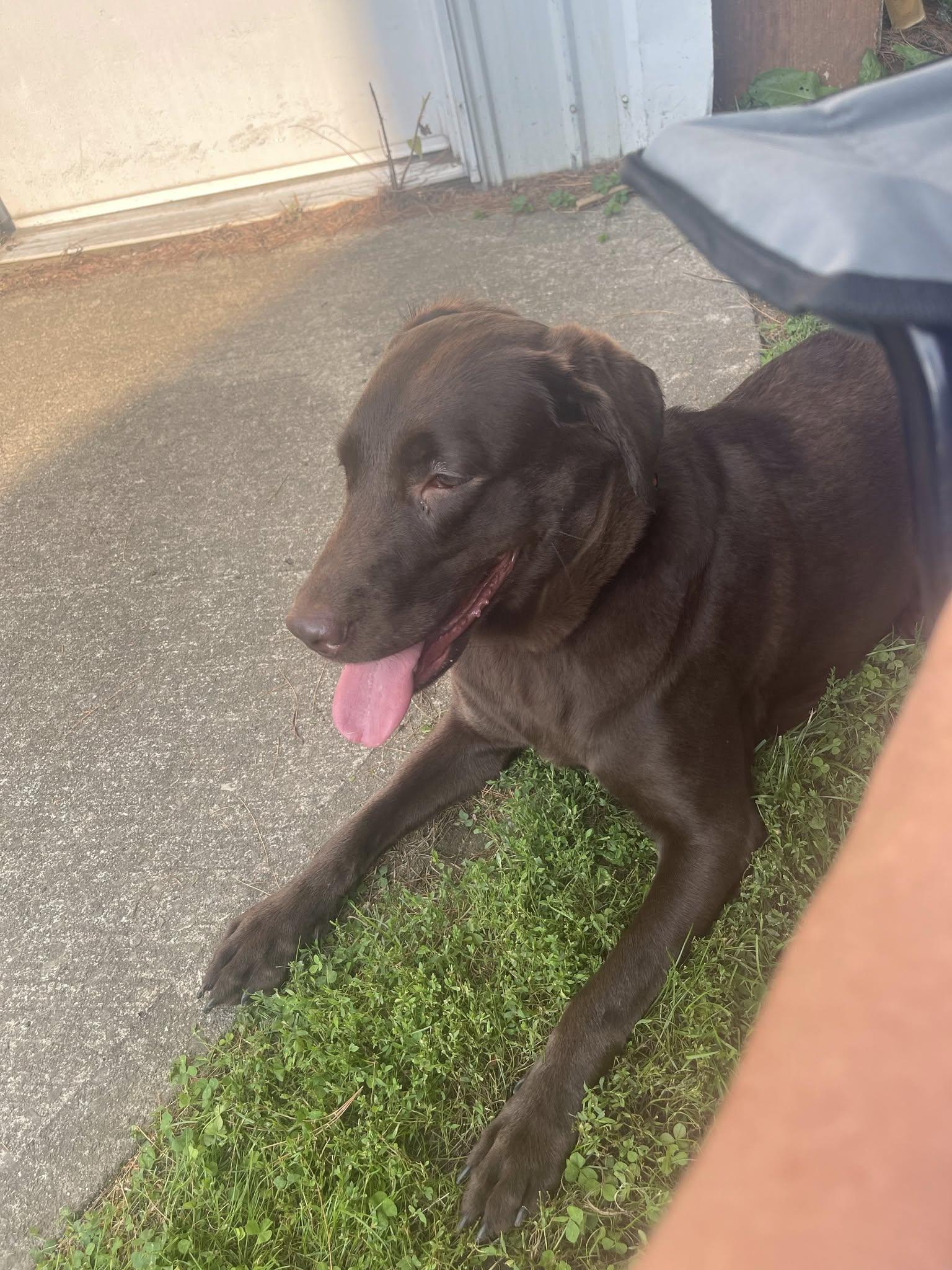 Sadie Jo photo 2