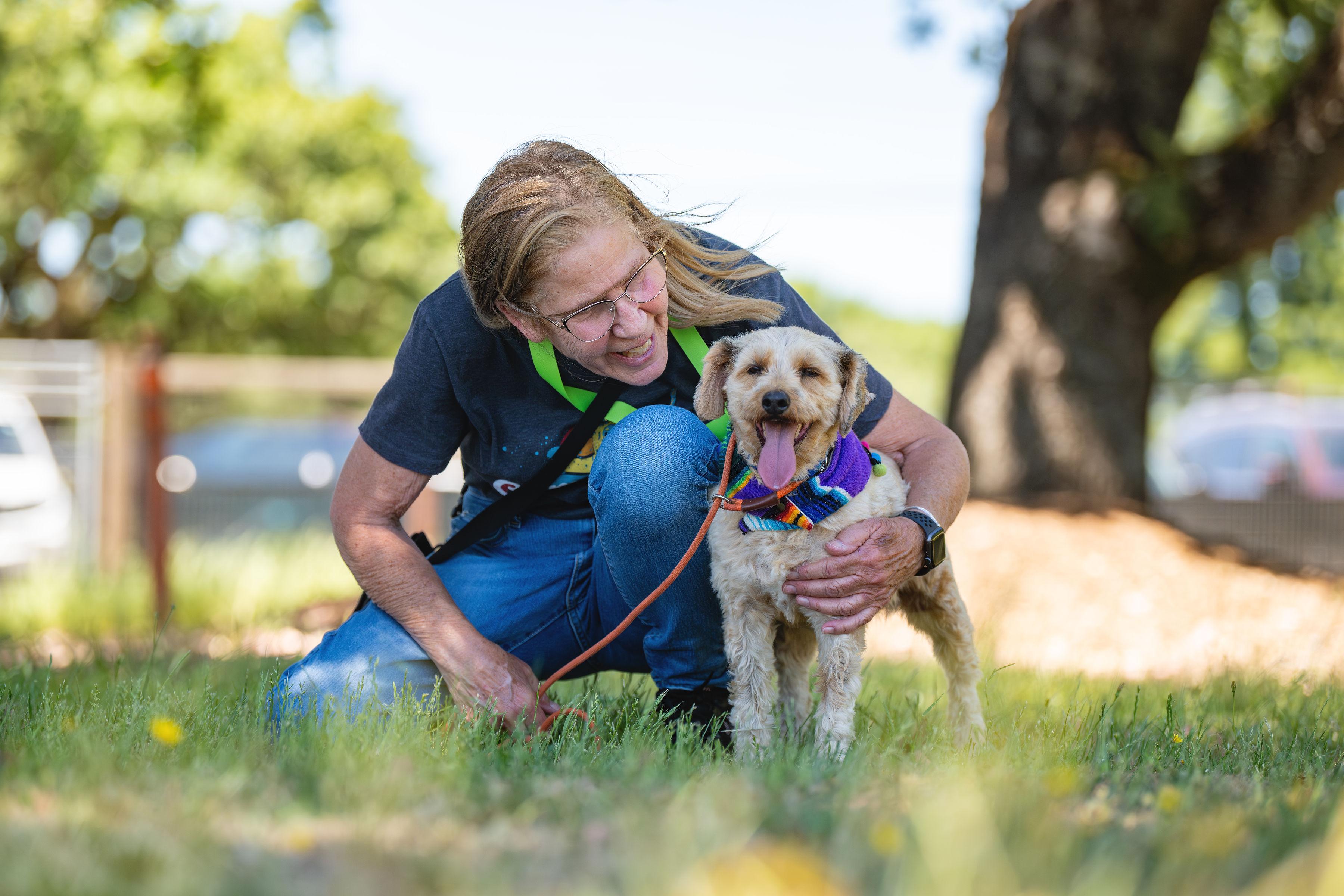 Cookie, a ADOPTABLE mixed breed in Santa Rosa, CA image 4/4