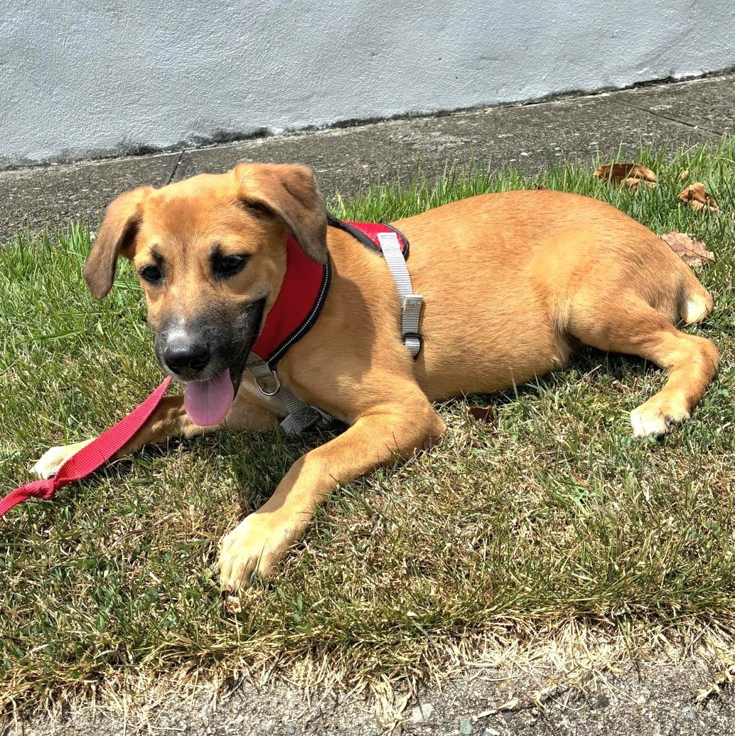 Teddy Bear "yours Forever!" thumbnail 4