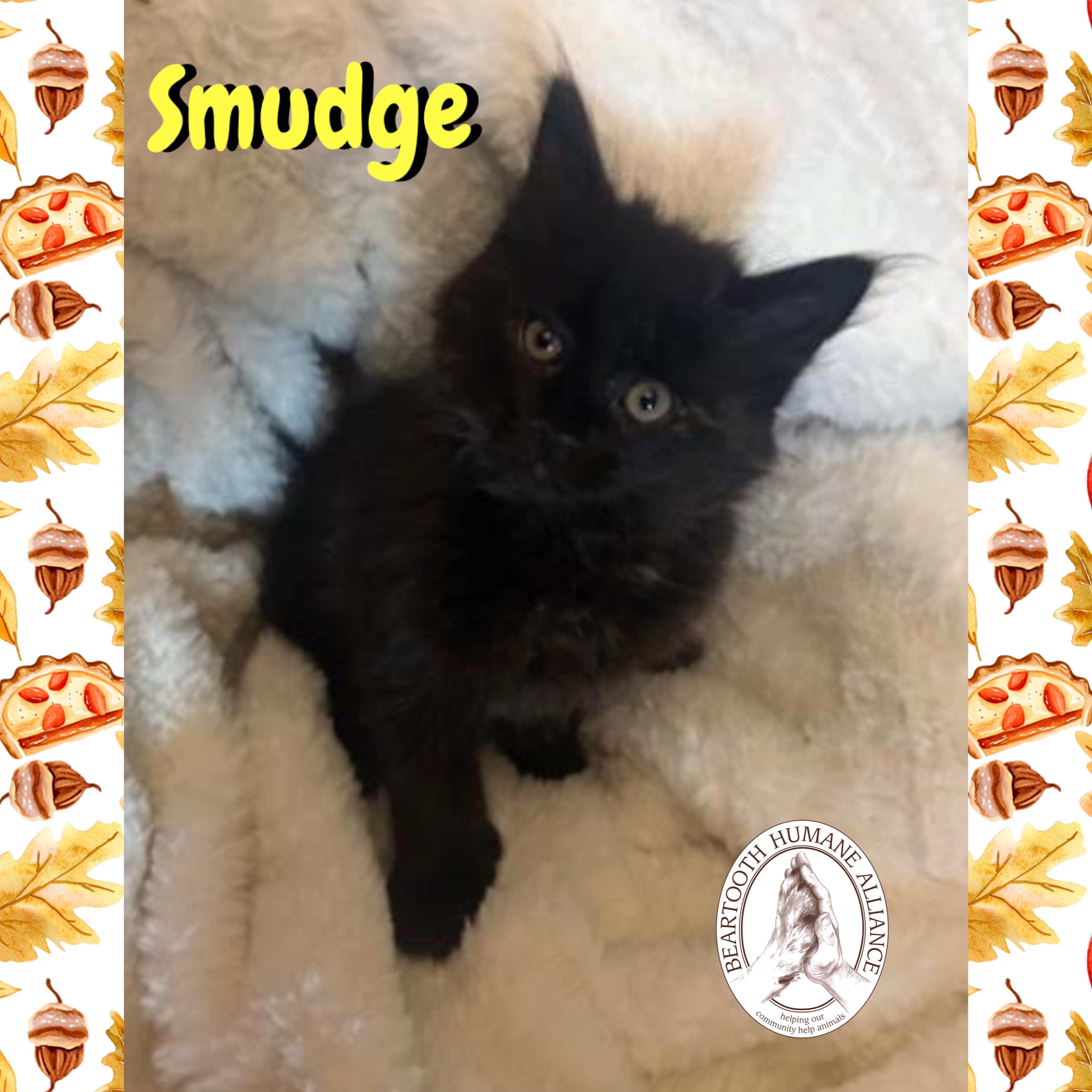 Smudge