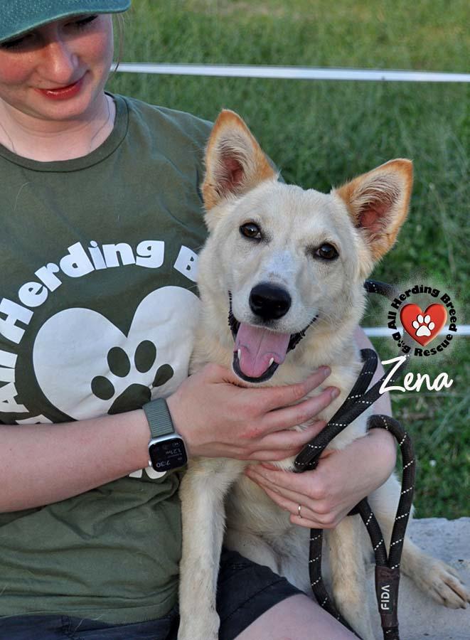 Zena, Young Female unknown