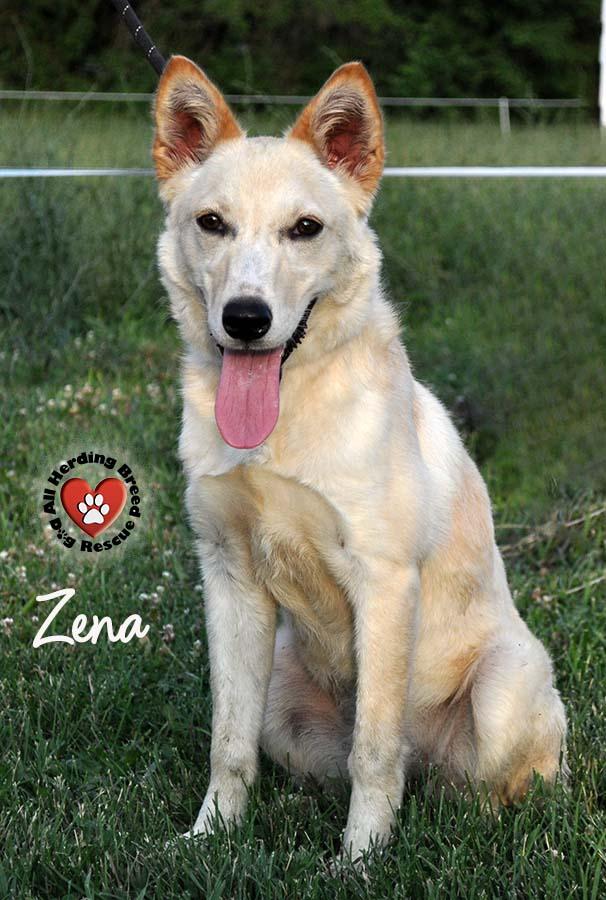 Zena photo 4